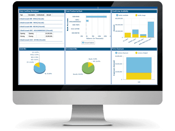 Focus on non banking treasury requirements with multiple subsidiaries, portfolios and accounting books